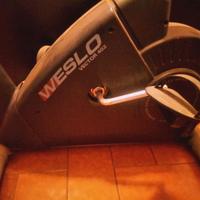 CICLETTE WESLO VECTOR 402