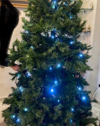 Albero di natale - 180 cm