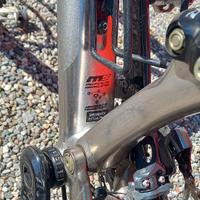 Specialized   Elite