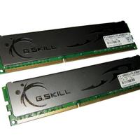 G.SKILL f3-12800CL7D-4GBECO (2x2GB) RAM DDR3-1600