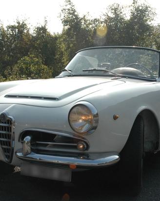 Alfa Romeo Giulia Spider Veloce, 1965