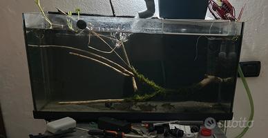 Acquario 100 litri