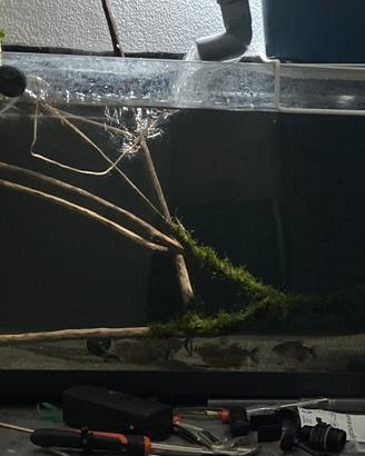Acquario 100 litri