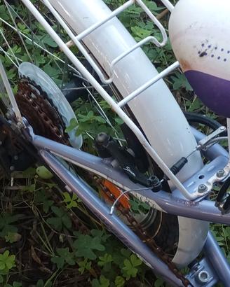 bicicletta