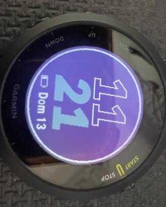 Garmin Forerunner 55
