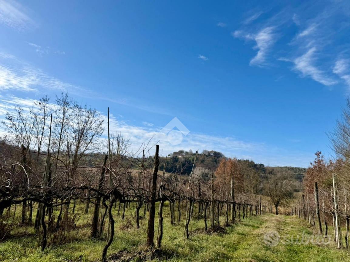 TER. AGRICOLO A CASPERIA - Altro
