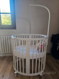 stokke culla evolutiva