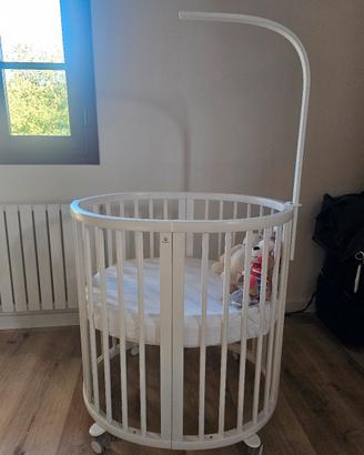 stokke culla evolutiva