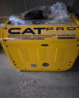 Generatore CAT PRO 11000.