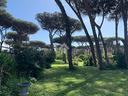 ter-agricolo-a-roma