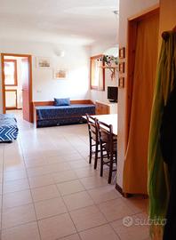 Montagna Toscana sulle piste Abetone Val di Luce