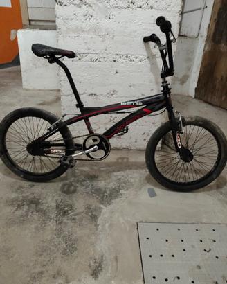 bmx 20 lombardo isernia