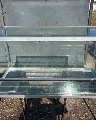 Teca vetro per rettili serpenti