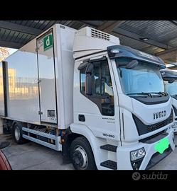 EUROCARGO IVECO 120-250 trasporto carni appese