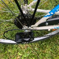 Bicicletta da Donna.