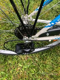 Bicicletta da Donna.