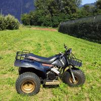 Polaris Scrambler 250 1982