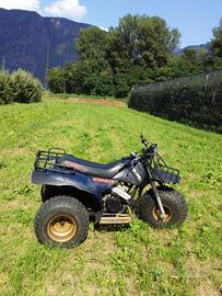 Polaris Scrambler 250 1982