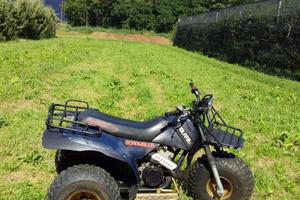 Polaris Scrambler 250 1982