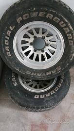  2 cerchi canonica safari