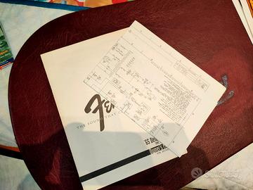 Schema elettrico e manuale amplificatore Fender