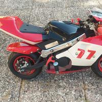 mini moto 
