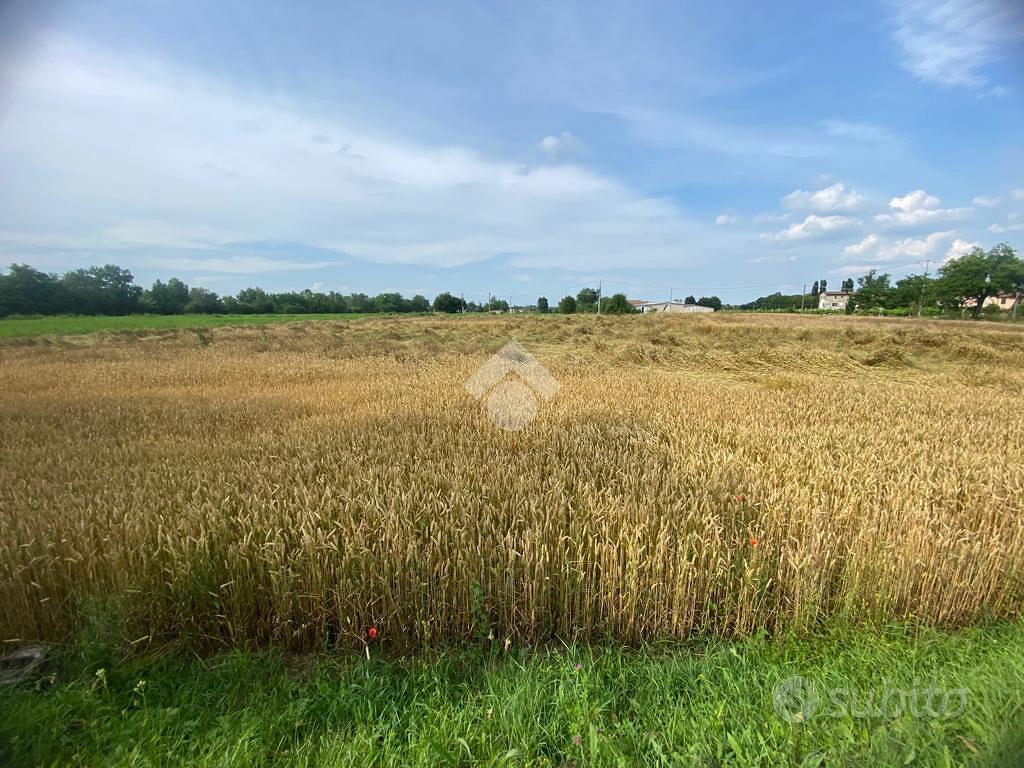 TER. AGRICOLO A SANT'ILARIO D'ENZA - Vista 3