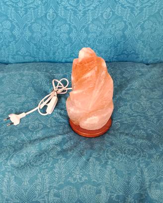 Lampada Di Sale Rosa Himalayano (Salgemma)