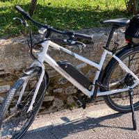 Bicicletta elettrica