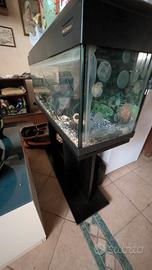 acquario