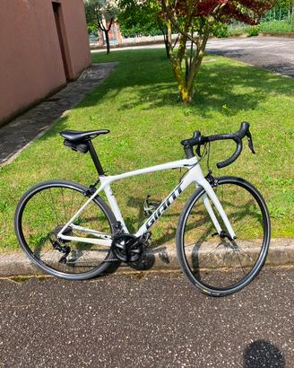 Bicicletta GIANT in carbonio
