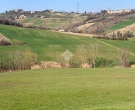 TER. AGRICOLO A CORIANO