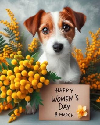 Jack russell