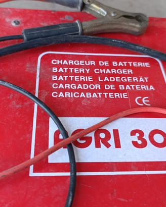 Caricabatteria auto