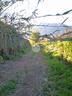 rustico-a-gragnano