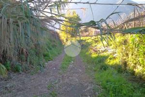 RUSTICO A GRAGNANO