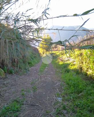 RUSTICO A GRAGNANO