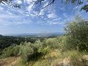 terreno-di-22364-m²-a-castelfranco-piandisco