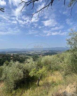 Terreno di 22364 m² a Castelfranco Piandisco