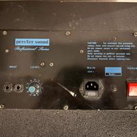 Peecker sound cassa amplificata