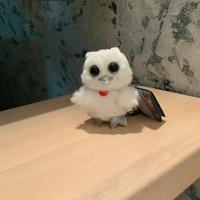 Trudi civetta collezione spe iale Levissima