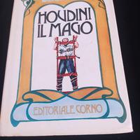 Houdini il mago 