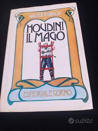 Houdini il mago 