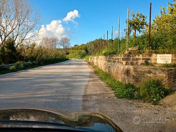 Terra per investimento 2 ettari 