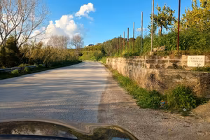 Terra per investimento 2 ettari 