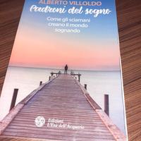 padroni del sogno di Alberto Villoldo 