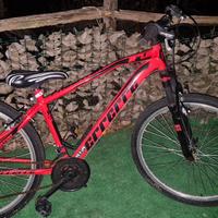  BICI 32 POLLICI