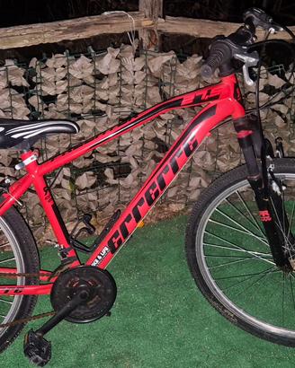  BICI 32 POLLICI