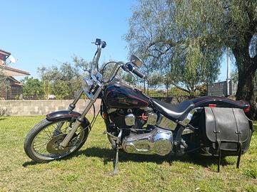 Harley Davidson Softail Custom 