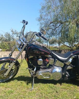 Harley Davidson Softail Custom 